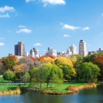city skyline