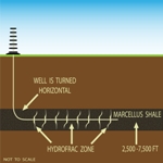 marcellus shale