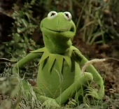 kermit