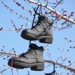 shutterstock_2929850 - boots in a tree 200x150