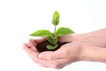 shutterstock_63803071-planting-seeds-150x100